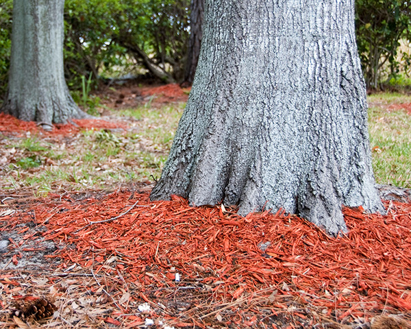 Mulch