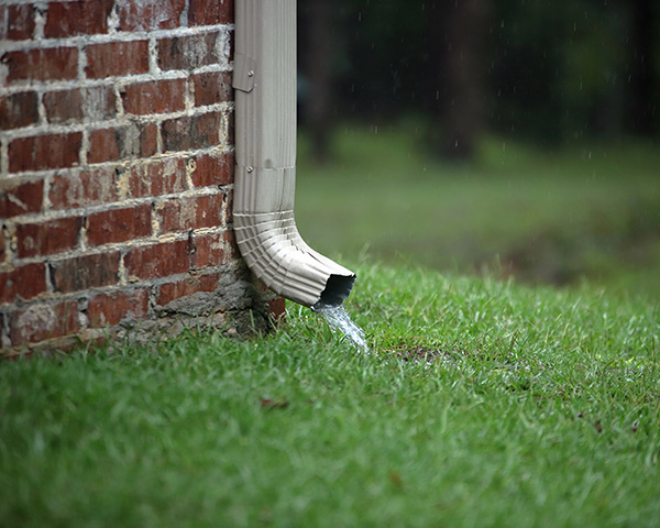 Spout