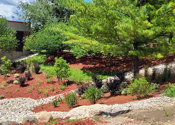 stormwater1