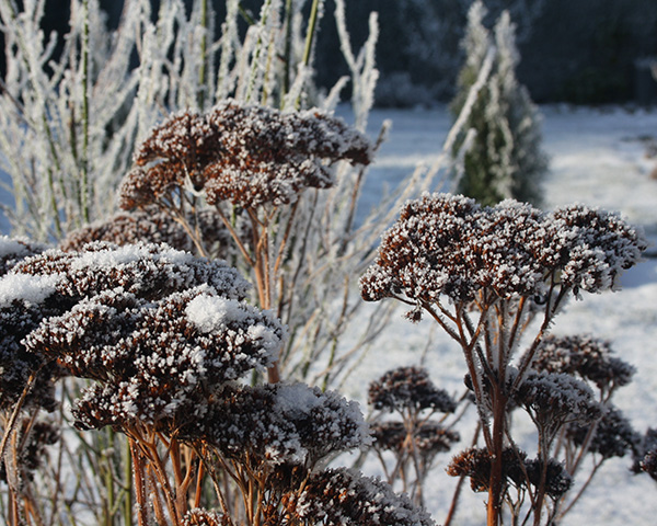 Winter Planning